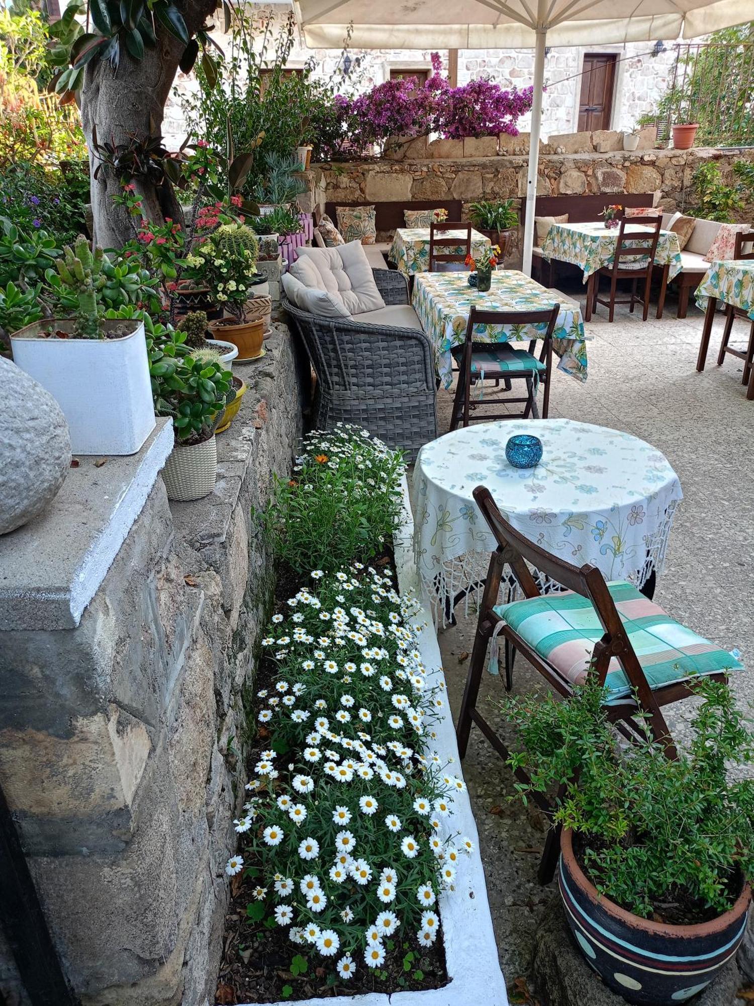 Guest house Yuekser 3*