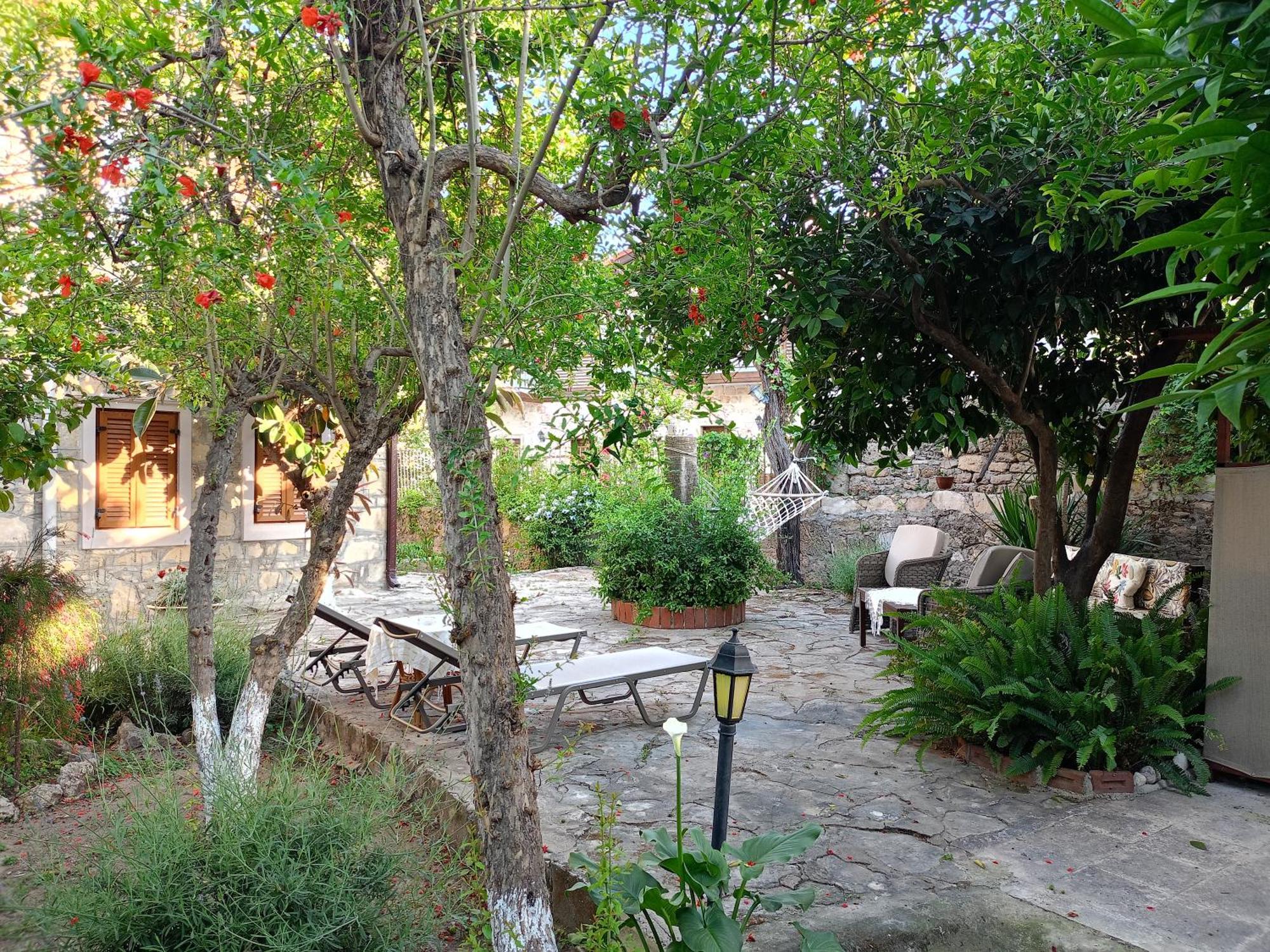 Guest house Yuekser